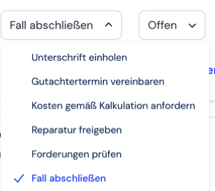 Next-Steps-Filter mit ausgewählter Aufgabe Fall abschließen